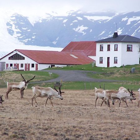 Guesthouse Hólmur Екстериор снимка
