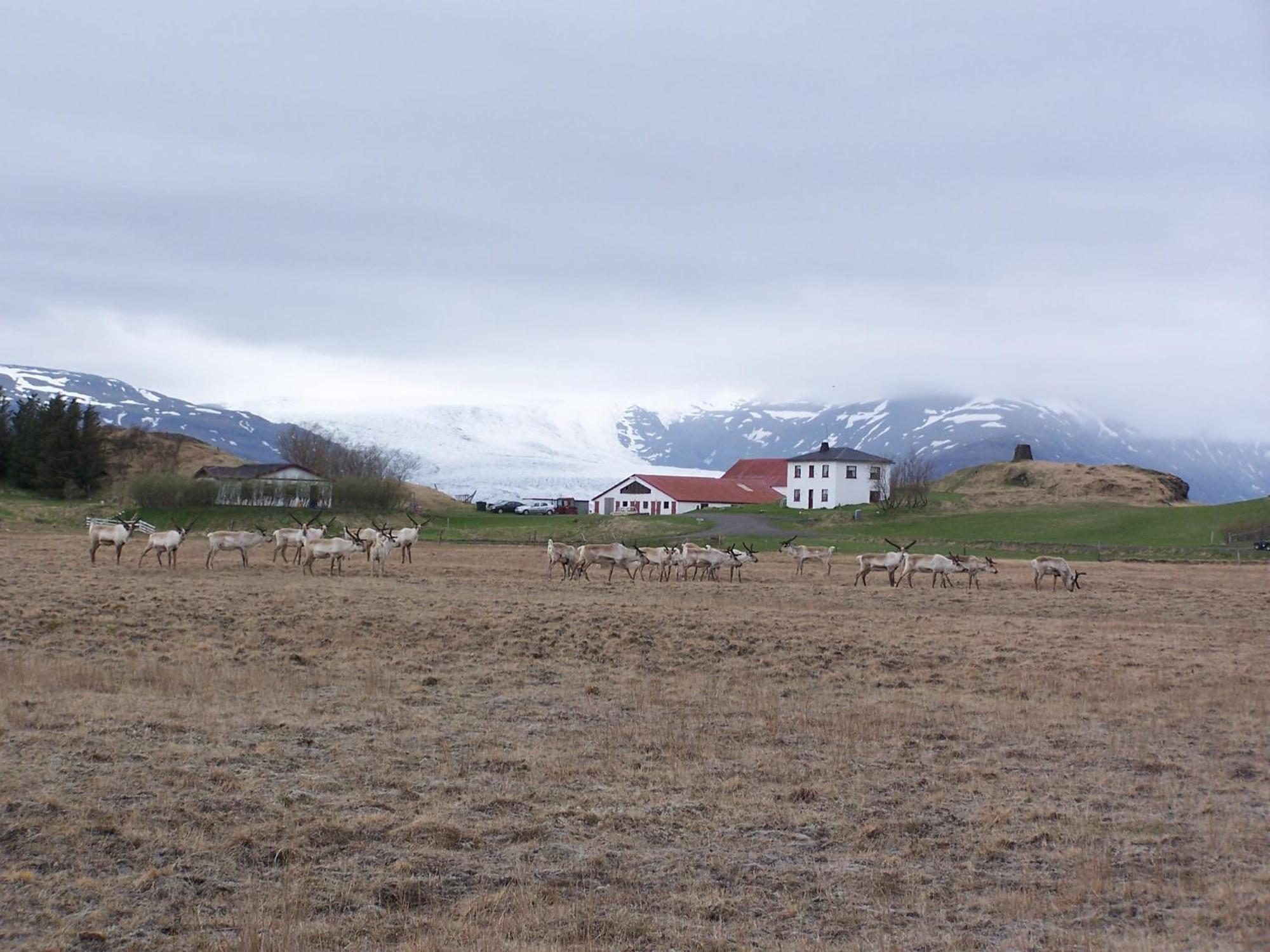 Guesthouse Hólmur Екстериор снимка